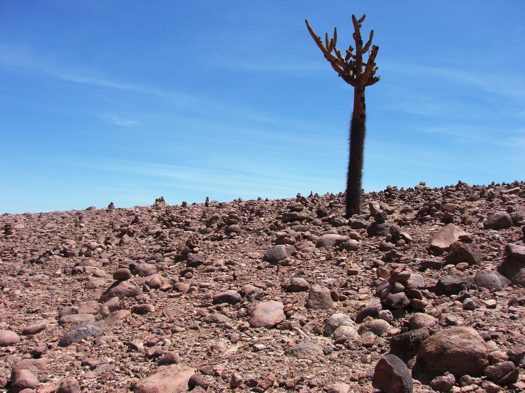 Desierto de Atacama